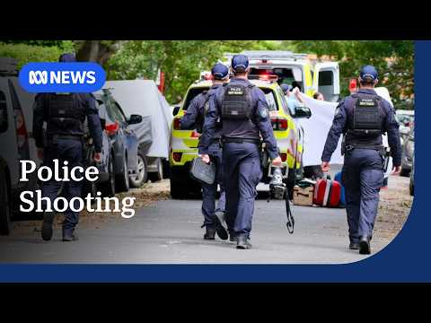 Man shot dead by police in Sydney after threatening officers with weapon | ABC NEWS