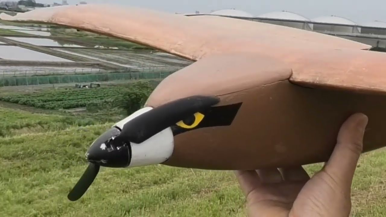 無垂直尾翼鳥型：トンビのような効率の良い旋回の操舵方法Z-WINGを