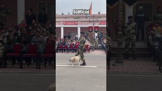 इसको कहते असली Inspiration 🤩 #shorts #dog #viral #bsf #army #trending