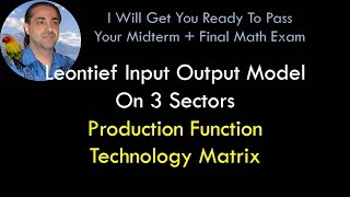 Leontief Input Output Model On 3 Sectors [Production Function Technology Matrix]