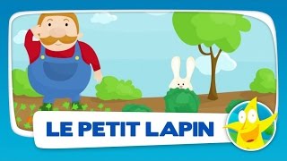 Video thumbnail of "Comptine pour enfants - Le Petit Lapin"