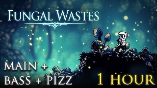 Hollow Knight Ambience - Fungal Wastes Main + Pizz + Atmos