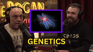 IS IT A PAST LIVE OR Just Genetic Memory? | The Joe Rogan Experience