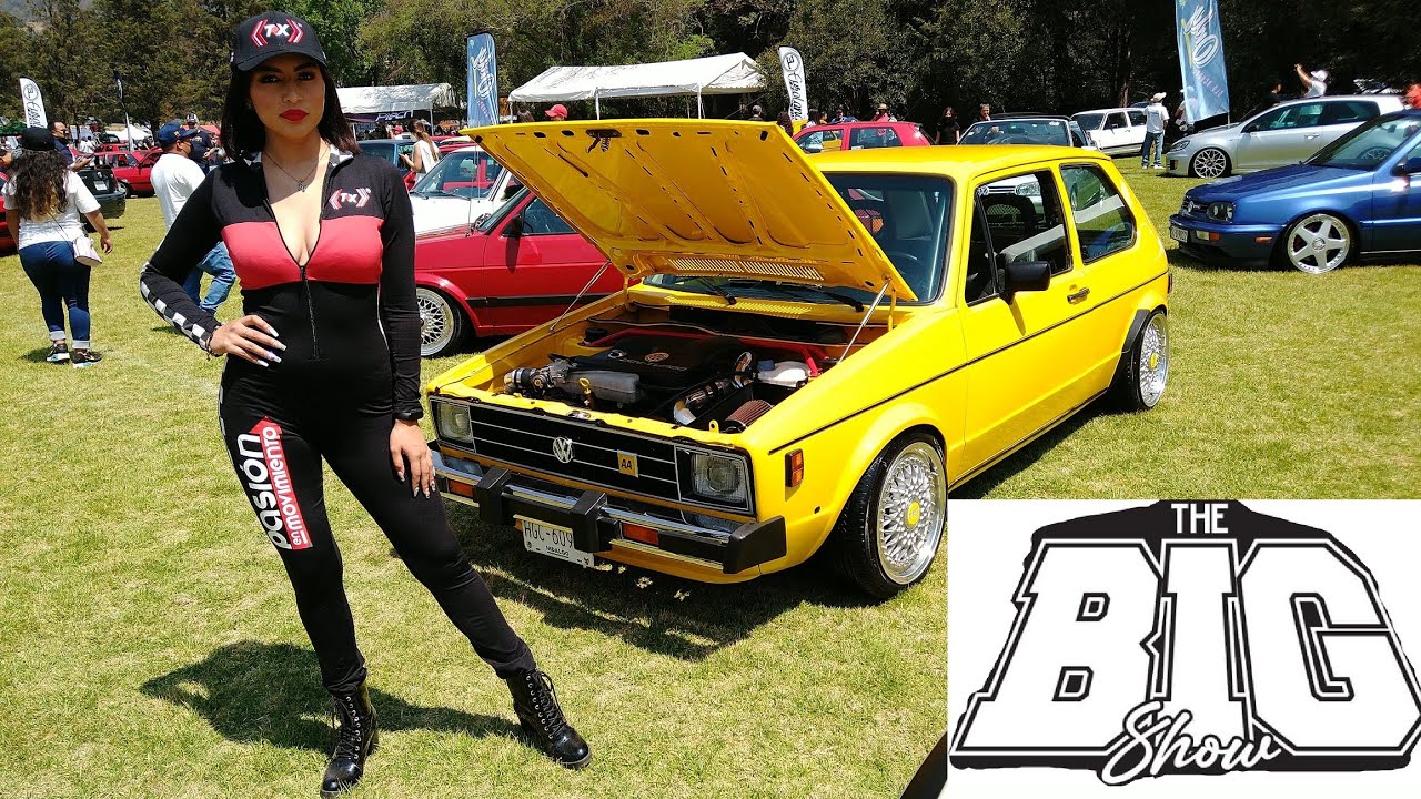 ¡The Big Show! Autos Volkswagen bien PERROS!!!