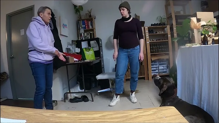 Overgreeter in dogs Reducing excitement levels wit...