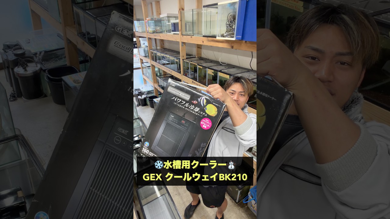 GEX Coolway BK210 Aquarium Cooler (Ichinoe, Edogawa-ku, Tokyo