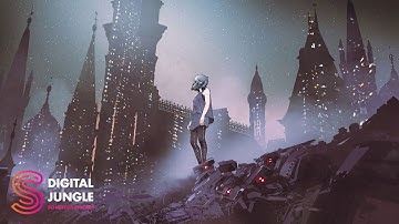 Schechter Studios - Digital Jungle