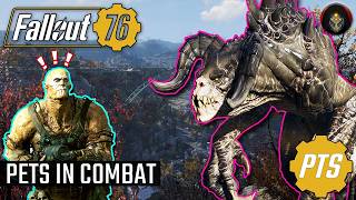 FALLOUT 76 | Pets In Combat! [PTS]