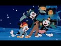 Animaniacs Yakko