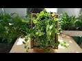 자막)[식물키우기] 살아있는 식물 액자 만들기 How to make plant frame