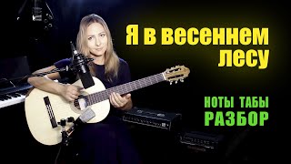 картинка: Я в весеннем лесу пил берёзовый сок | На гитаре Разбор
