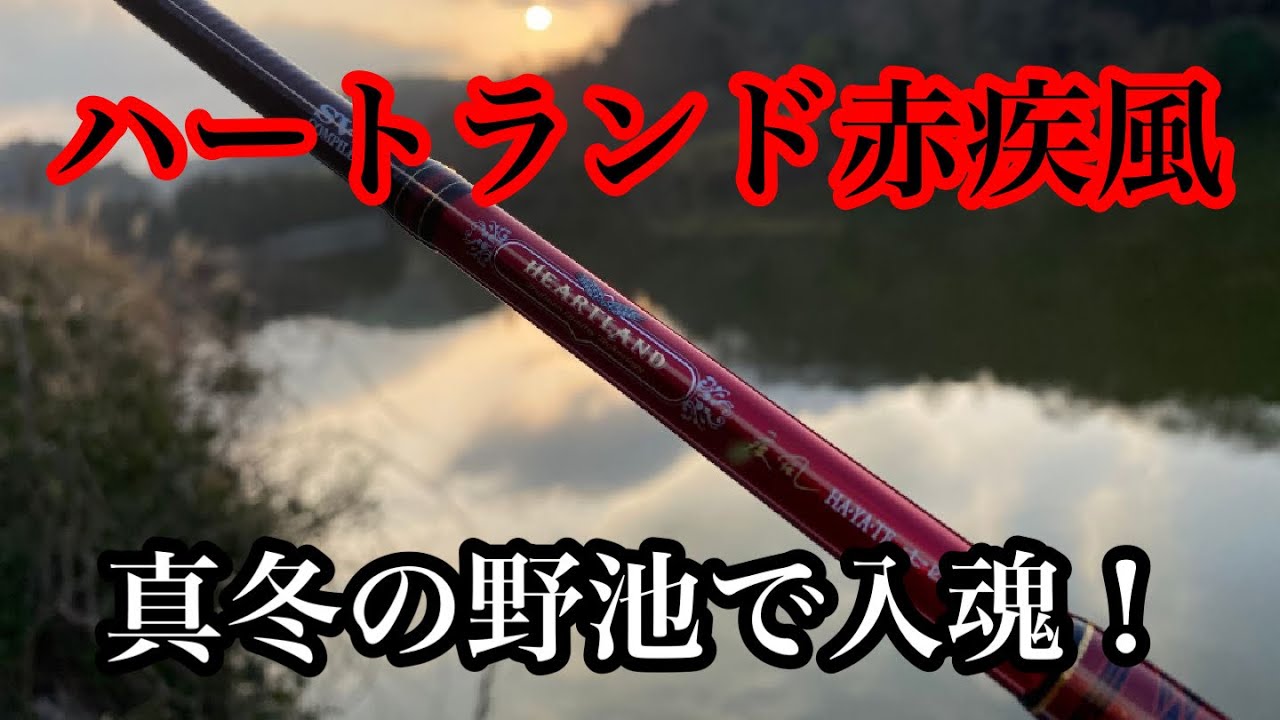 バス釣り】ハートランド 七四赤疾風で真冬の野池40UP入魂！【2020.2/8