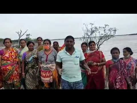 পরিবেশ বাঁচাও (Sundarban activities -2 )
