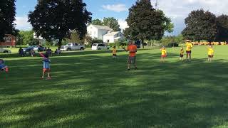 IMG 4584