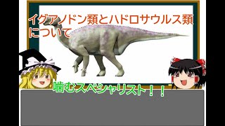 【ゆっくり解説】【恐竜解説】イグアノドン類とハドロサウルス類について