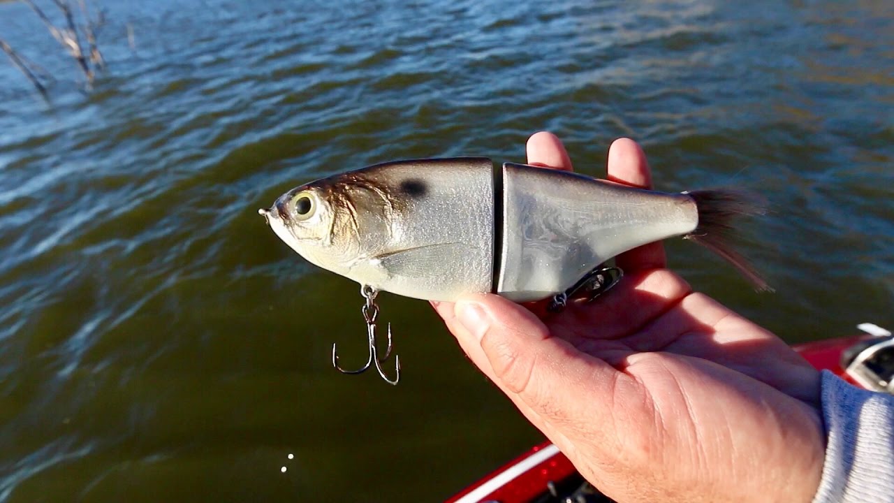 Most REALISTIC Swimbait? Bass Fishing LEGENDARY Lake Fork for the