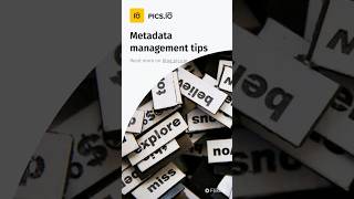 Metadata management tips Wealth