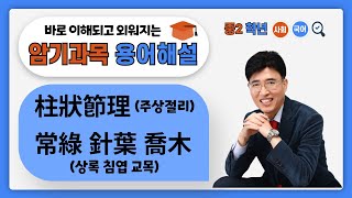 한자공부  한자학습법 암기과목 공부를 쉽고 빠르게 공부비법!! 중2 사회 柱狀節理(주상절리) / 중2 국어 常綠針葉喬木(상록침엽교목)