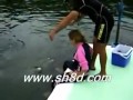 Dolphin kick woman  by midou.