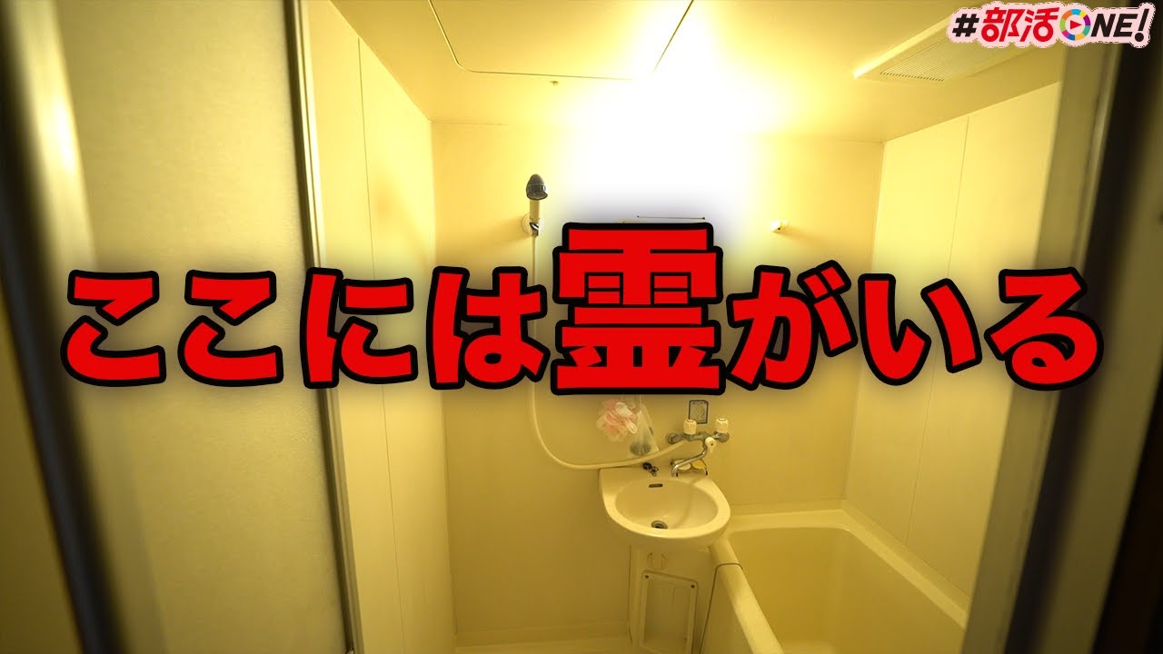 数多の霊が住み着く事故物件には美女が住んでいるらしい【オカルト部】