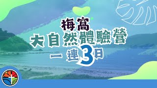Publication Date: 2023-04-17 | Video Title: Activity 28 四年級梅窩大自然體驗營