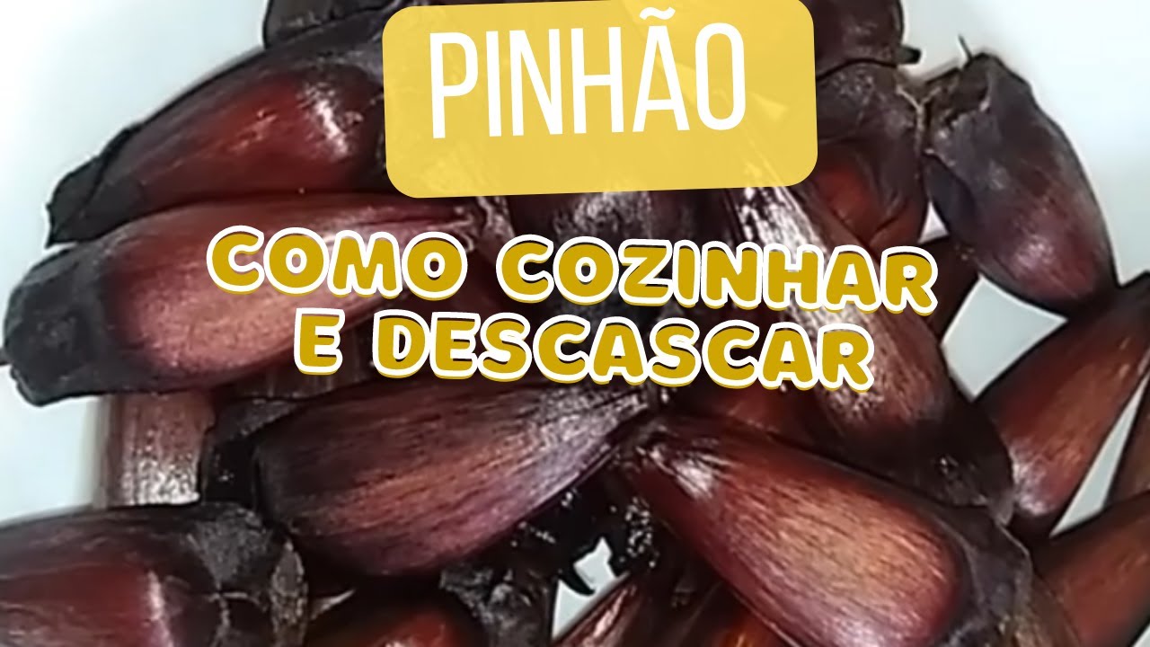 Quanto Tempo Cozinhar O Pinhão Na Panela De Pressão - RETOEDU