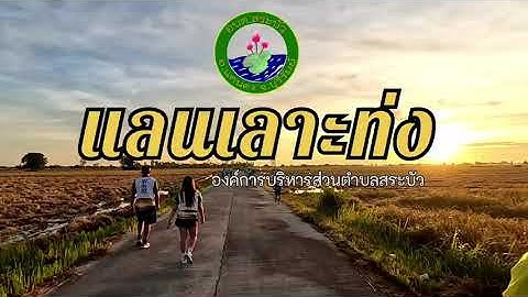 ตัวอย่าง โครงการ เดิน วิ่ง เพื่อ สุขภาพ