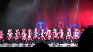 楊麗萍 雲南印象 表演片段 15