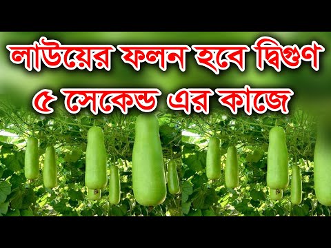 ভিডিও: 