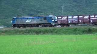 「イエスタデイ」と1056レ（2）　EF210-141　2013.10.11　琵琶湖線