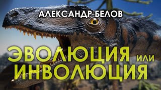 Эволюция или инволюция / Александр Белов