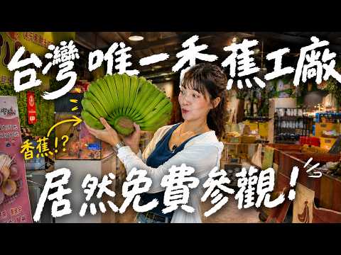 免門票🍌全台灣唯一香蕉工廠！超大果園竟有上百種香蕉？DIY香蕉蛋糕！
