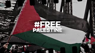 Auction 4 Gaza [JOIN US]