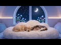 24 HOUR Sleep Therapy for Dogs and Cats 🐶🐱 Sleep, Healing #dogmusic #catmusic #dc1