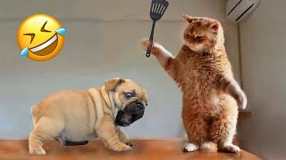 Funniest Animals 😄 New Funny Cats and Dogs Videos 2024 😹🐶 #292 by Pets Viewers 706 views 2 days ago 8 minutes, 32 seconds