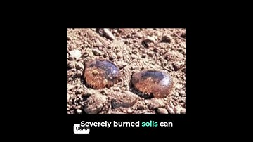 What is a debris flow? #mudslide #landslide #losangelesfires #CaliforniaGeologicalSurvey