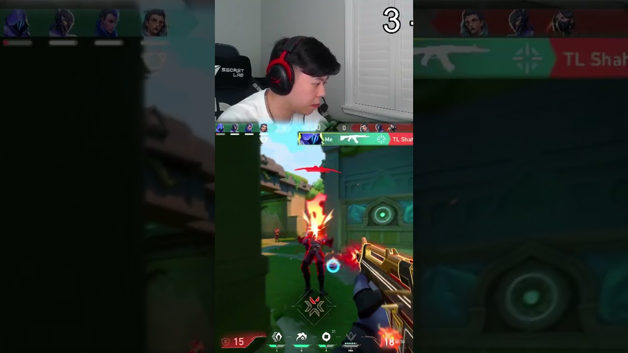 THE NEW BUNDLE OP