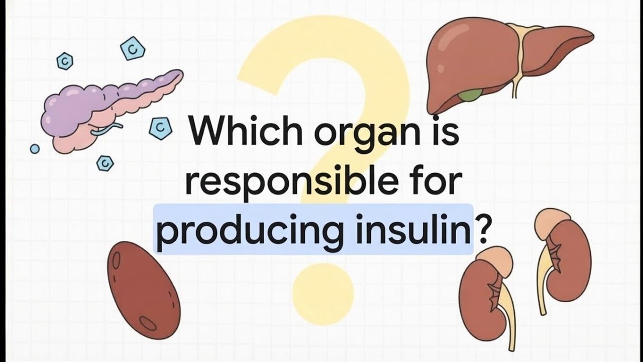 Nursing Quiz Part 1 | NCLEX-Style Questions & Answers | Test Your Nursing Knowledge!