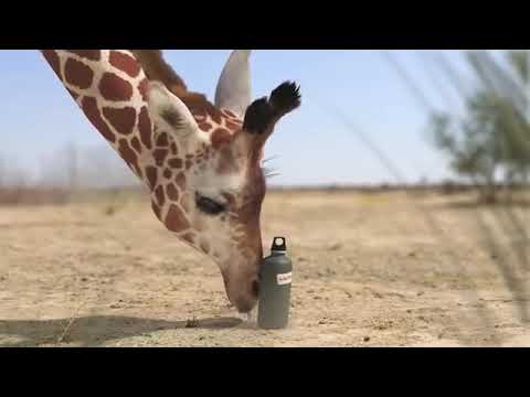 Maajabu Ya Munyama Kufanyiwa Ndagu 