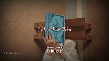 سورة هود  وتلك عاد