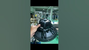 Khách VIP Chốt 2 Cặp Loa Thái 30 Từ Neo PAUDIO C12-400N 400W 8ohm Mũi Lõm