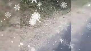 New garhwali song Meri gajna by manish Singh