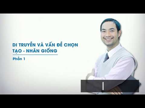 Video Lớp 12 | Sinh học | Bài số 07 | Lớp học không khoảng... - youtube