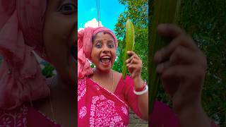 Asmr Americasmom Loves Chocolate V