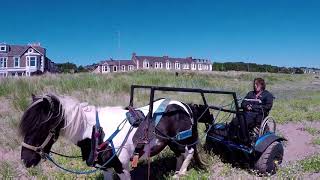 Broughty Ferry, sand dunes.