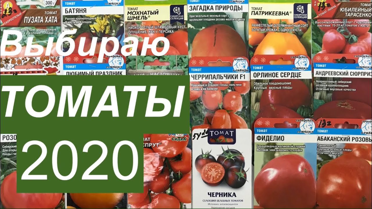 Томат фиделио описание отзывы. Сорта помидор на 2020г. Каталог семян томатов на 2020 год. Томат Фиделио. Семена. Томат "Урал f1".