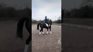 Ad ref 302832