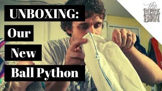 UNBOXING | New Ball Python Trade