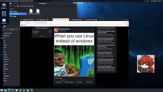 【HackHub #1】 first dual livestream test