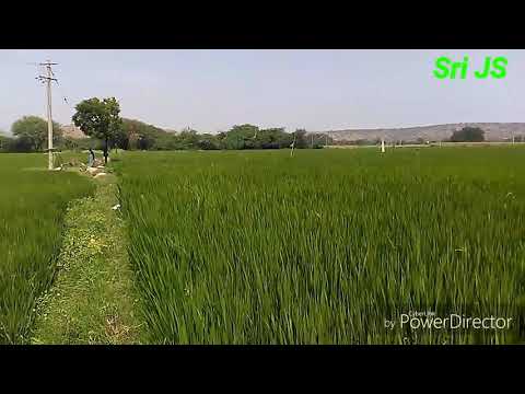 Annadata Annadata - अन्नड़ता अन्नड़ता Music Video Thumbnail